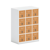 DTG30 Steel Personal Storage Locker